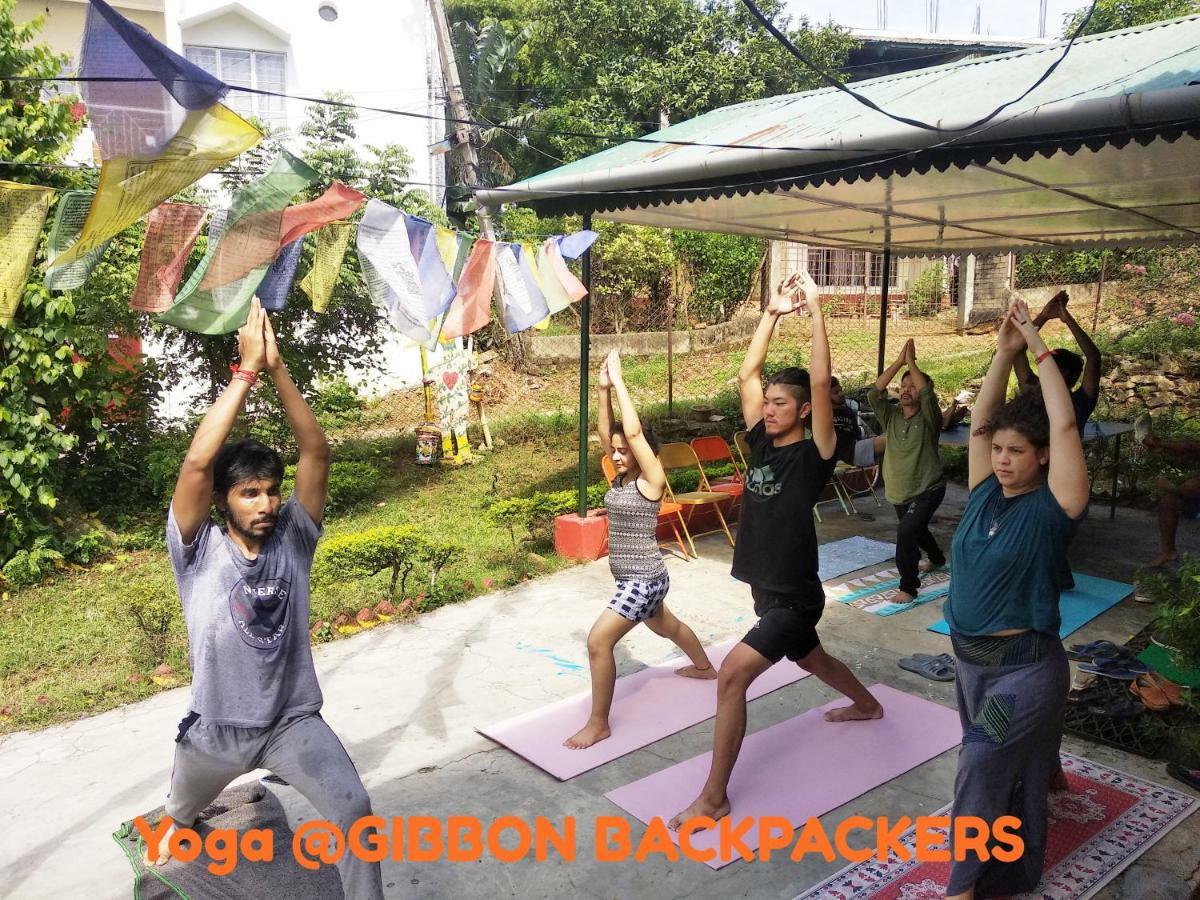 Gibbon Backpackers Hostel Гувахати Екстериор снимка